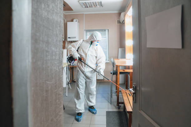 Best Industrial Mold Remediation  in Beckley, WV